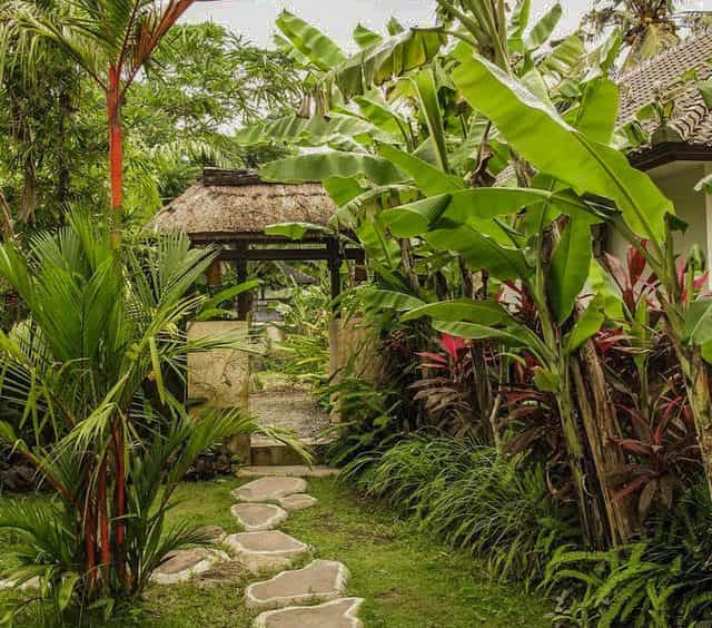жилой дом в Ubud, Bali 10930544