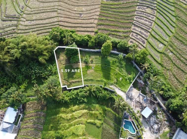 Tanah di Banjar Pekenjelodan, Bali 10930736