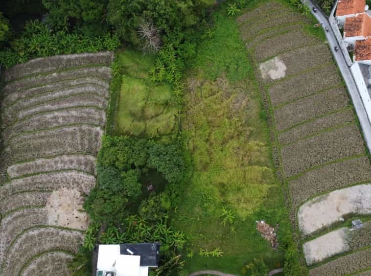Land in Banjar Pekenjelodan, Bali 10930764