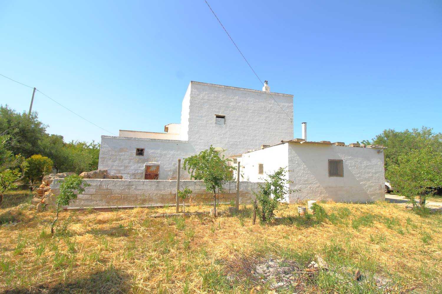 Huis in Fasano, Apulia 10930781
