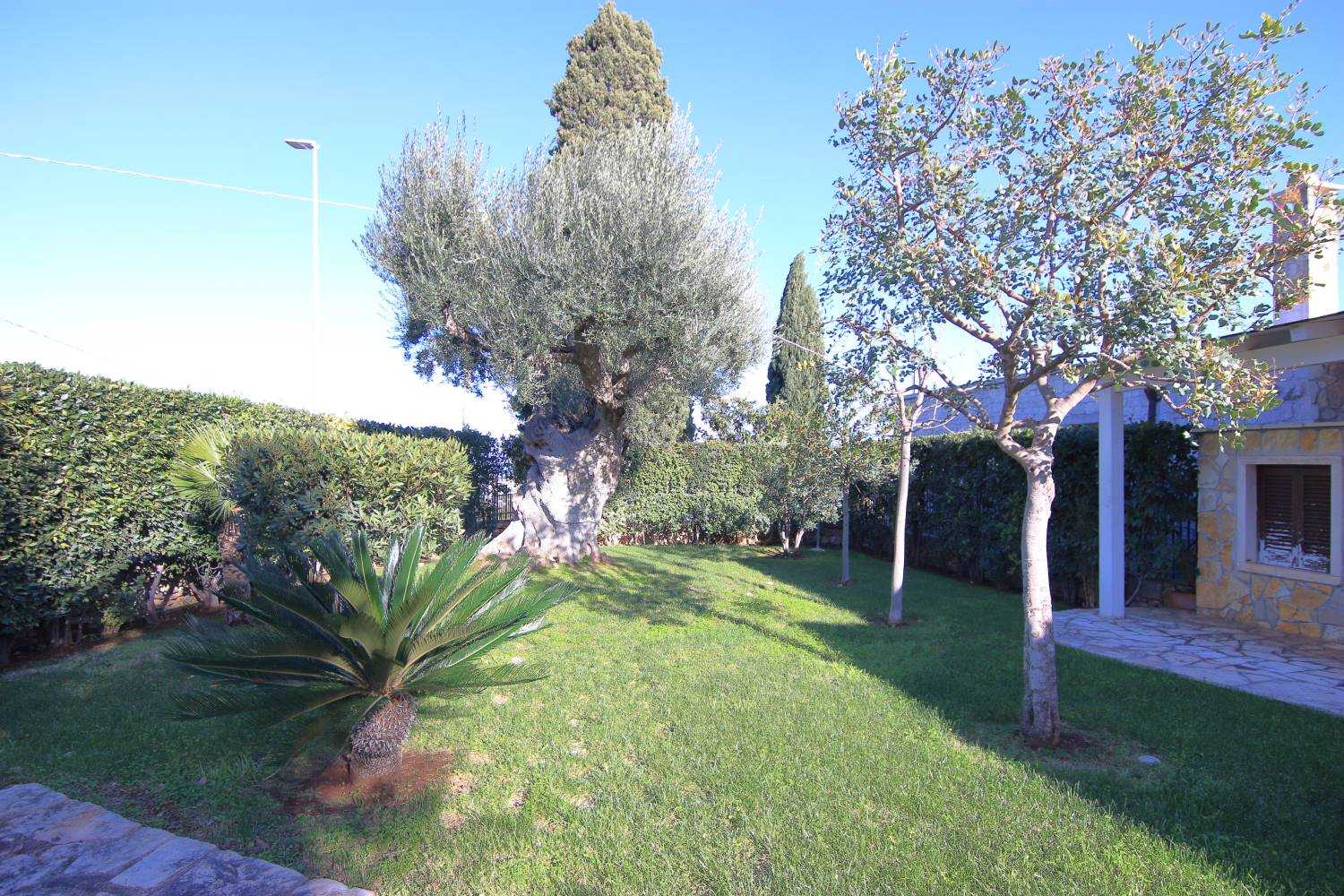 房子 在 Fasano, Apulia 10930808