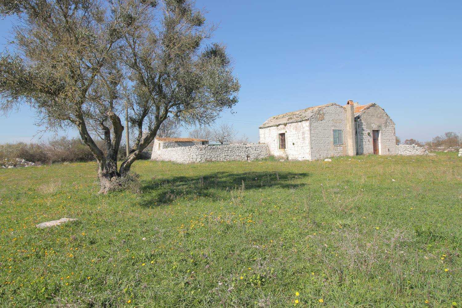 Hus i Noci, Puglia 10930827