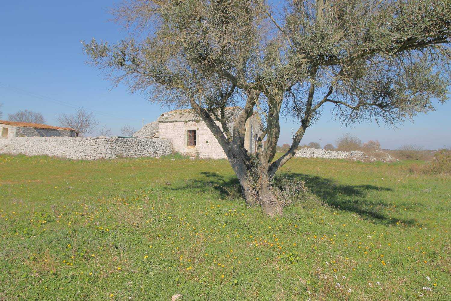 بيت في Noci, Apulia 10930827