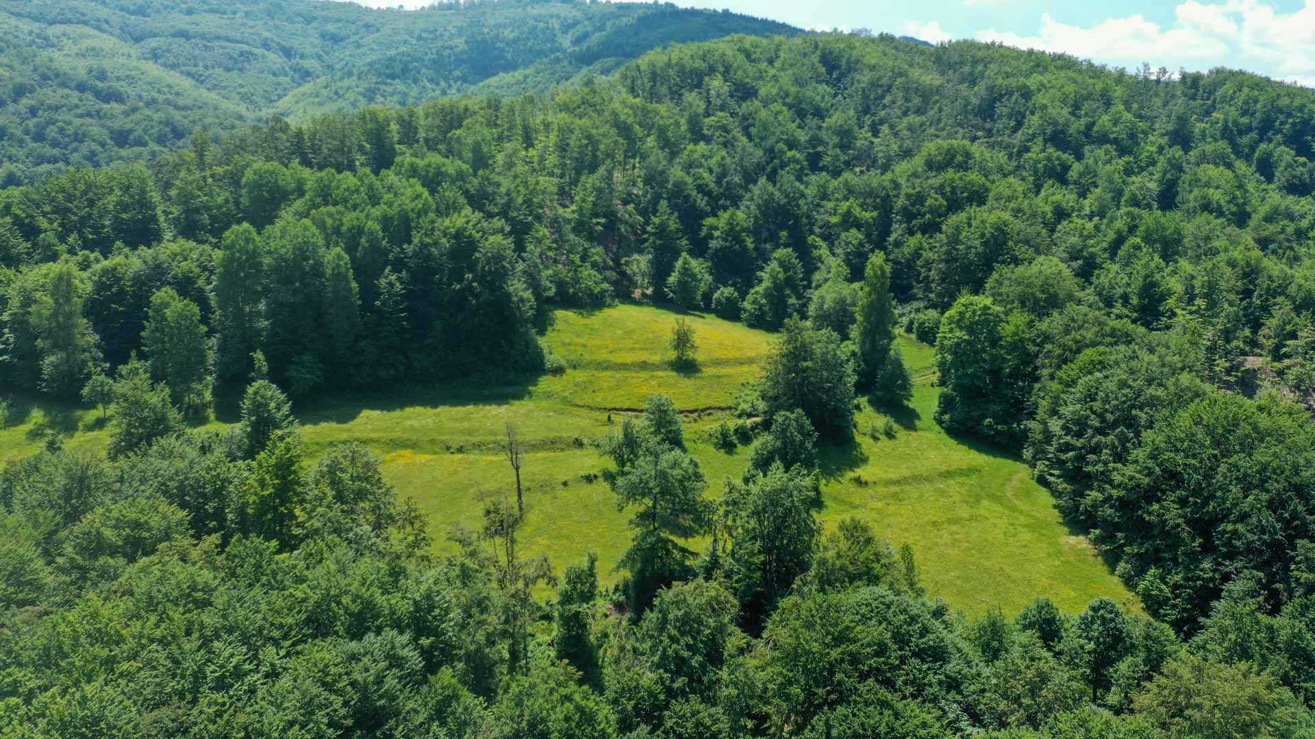 Land in Smailagića Polje, Opština Kolašin 10931660