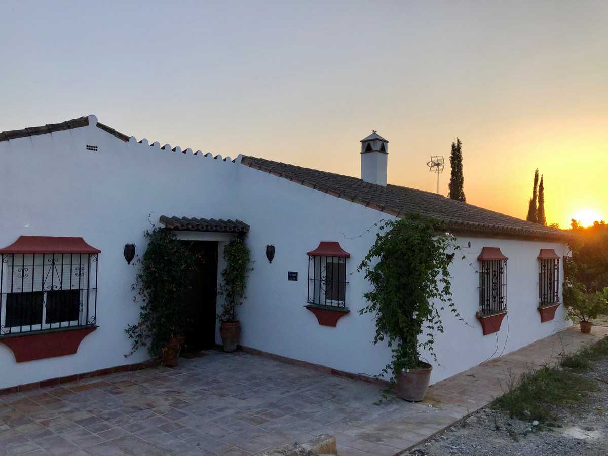 Будинок в Estepona, Andalusia 10931867