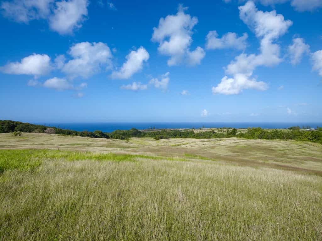 Land in Sion Hill, Saint James 10939451