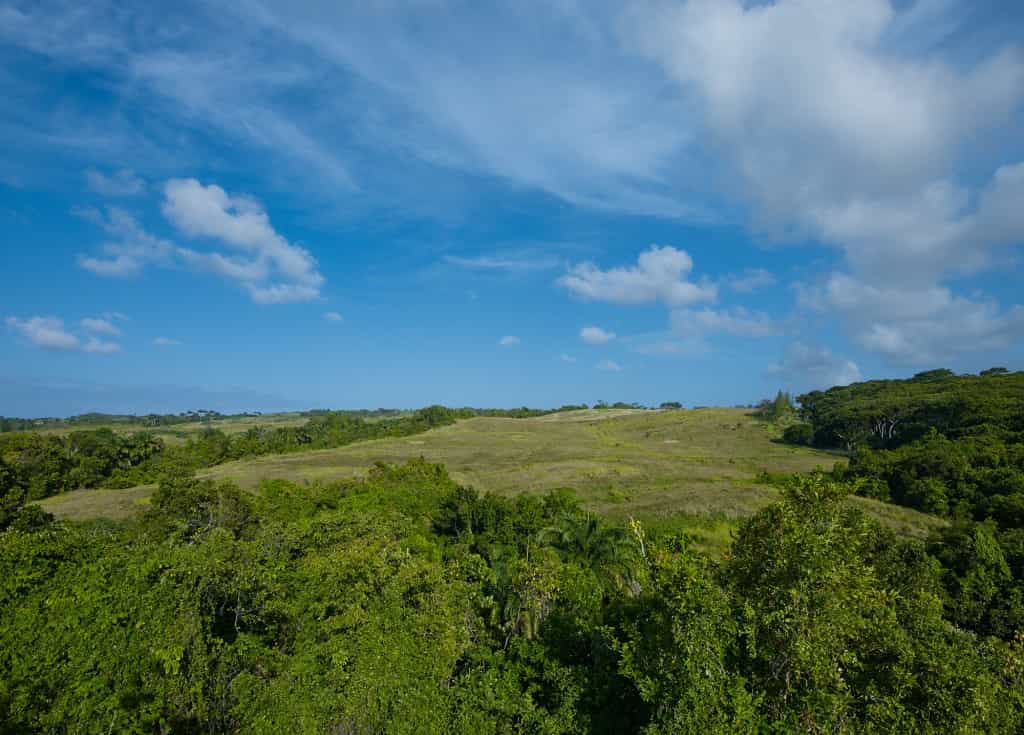 Land in Sion Hill, Saint James 10939451