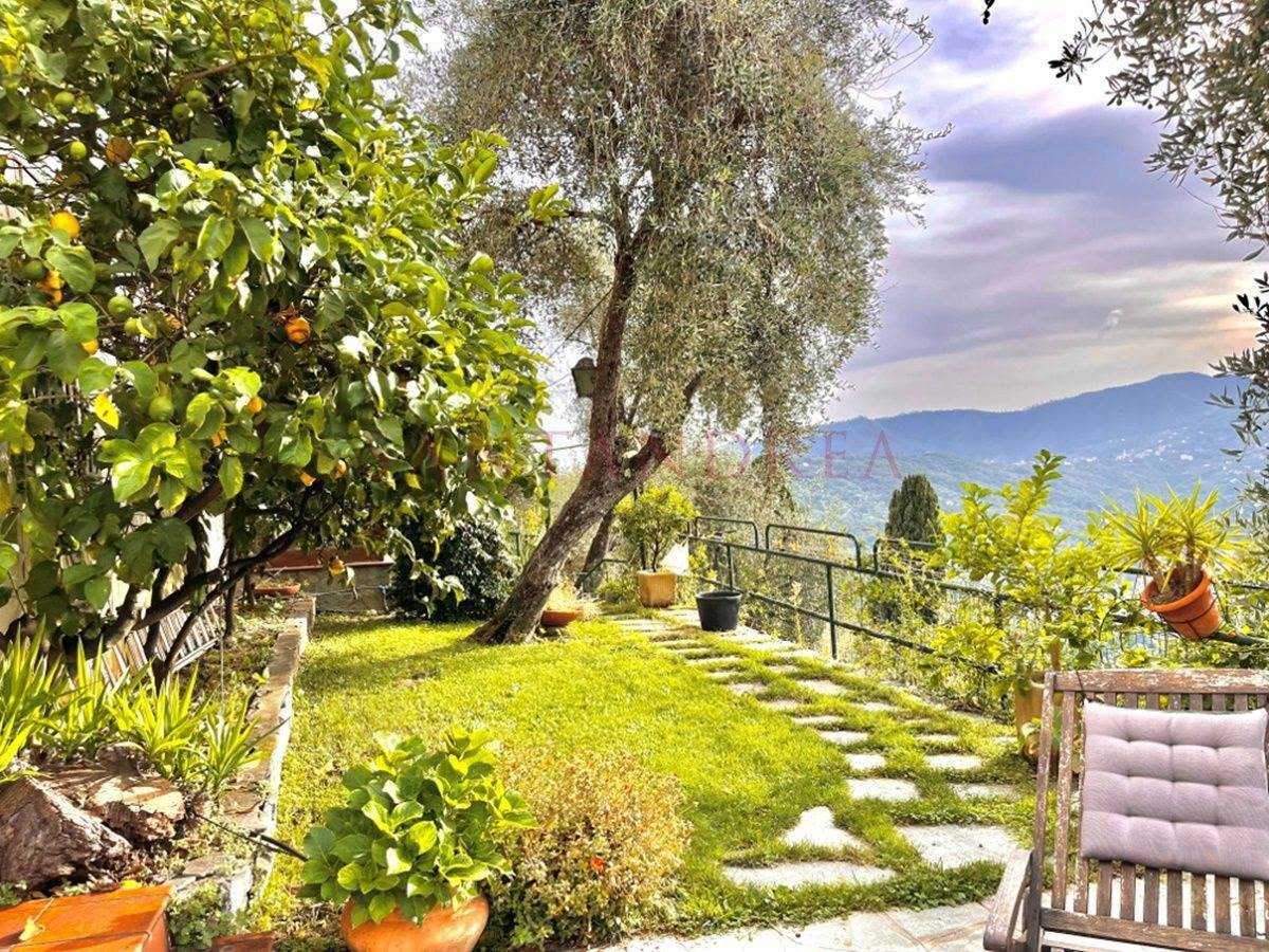 Dom w Rapallo, Liguria 10940014
