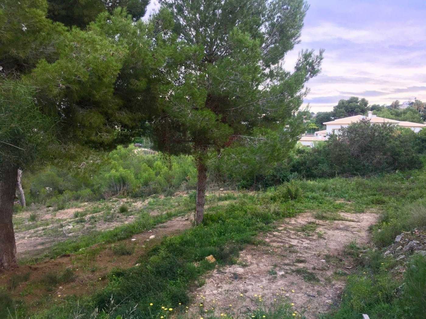 Land in Xàbia, Valencian Community 10951721