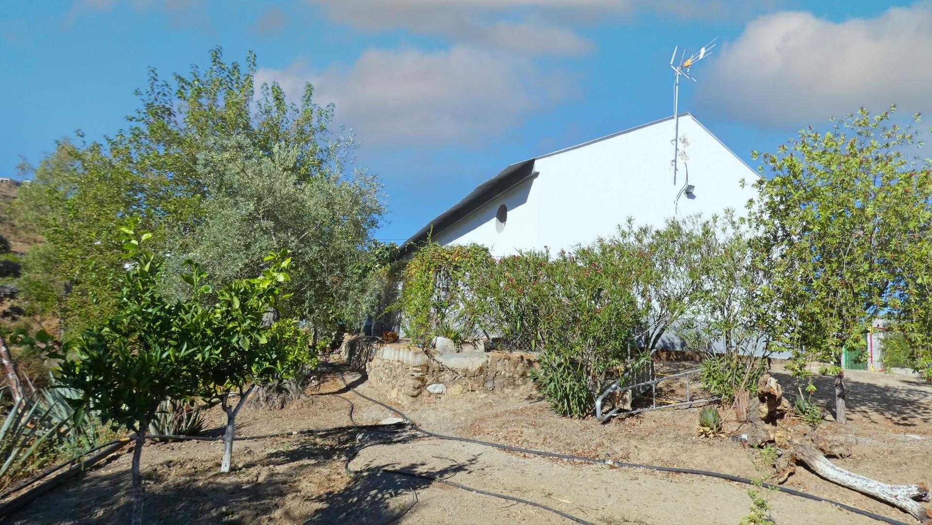 House in Guaro, Andalucía 10952881