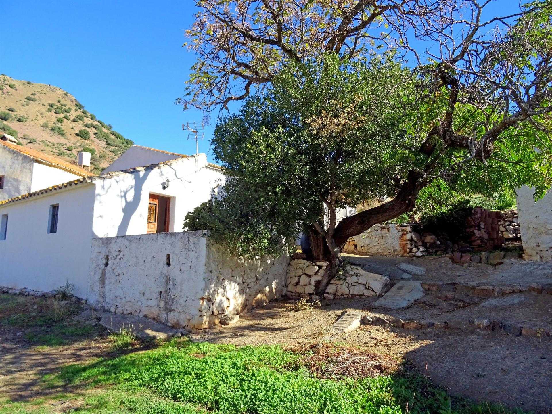 Hus i Almogia, Andalusien 10952912