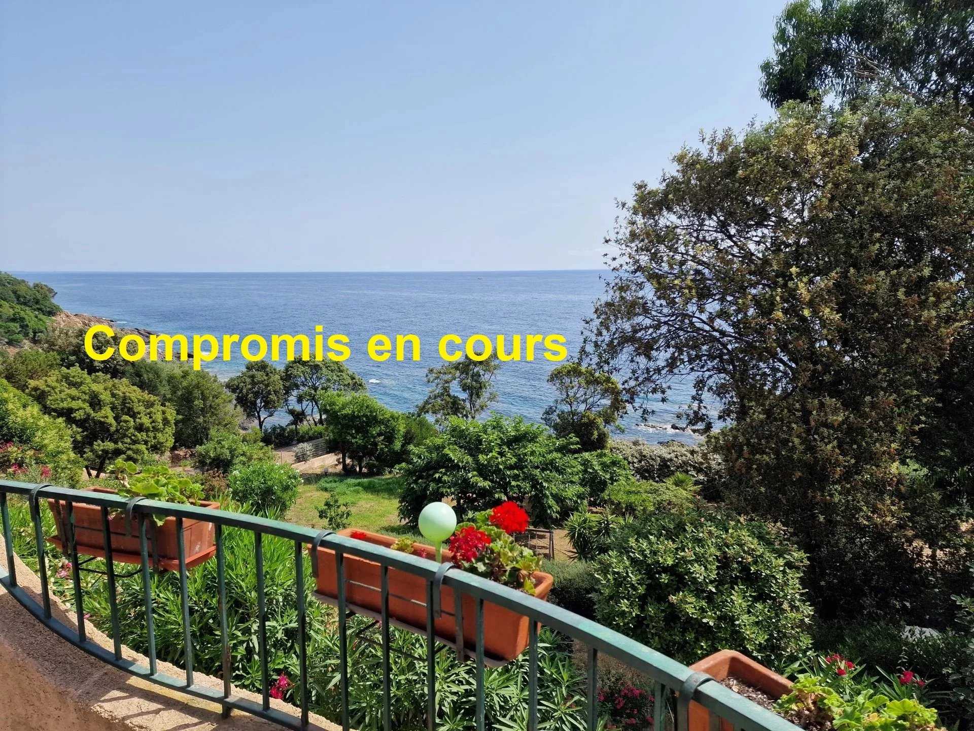 Haus im Solenzara, Korsika 10953004