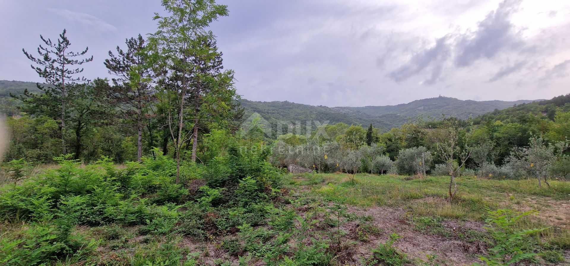 Γη σε Gračišće, Istria County 10954921