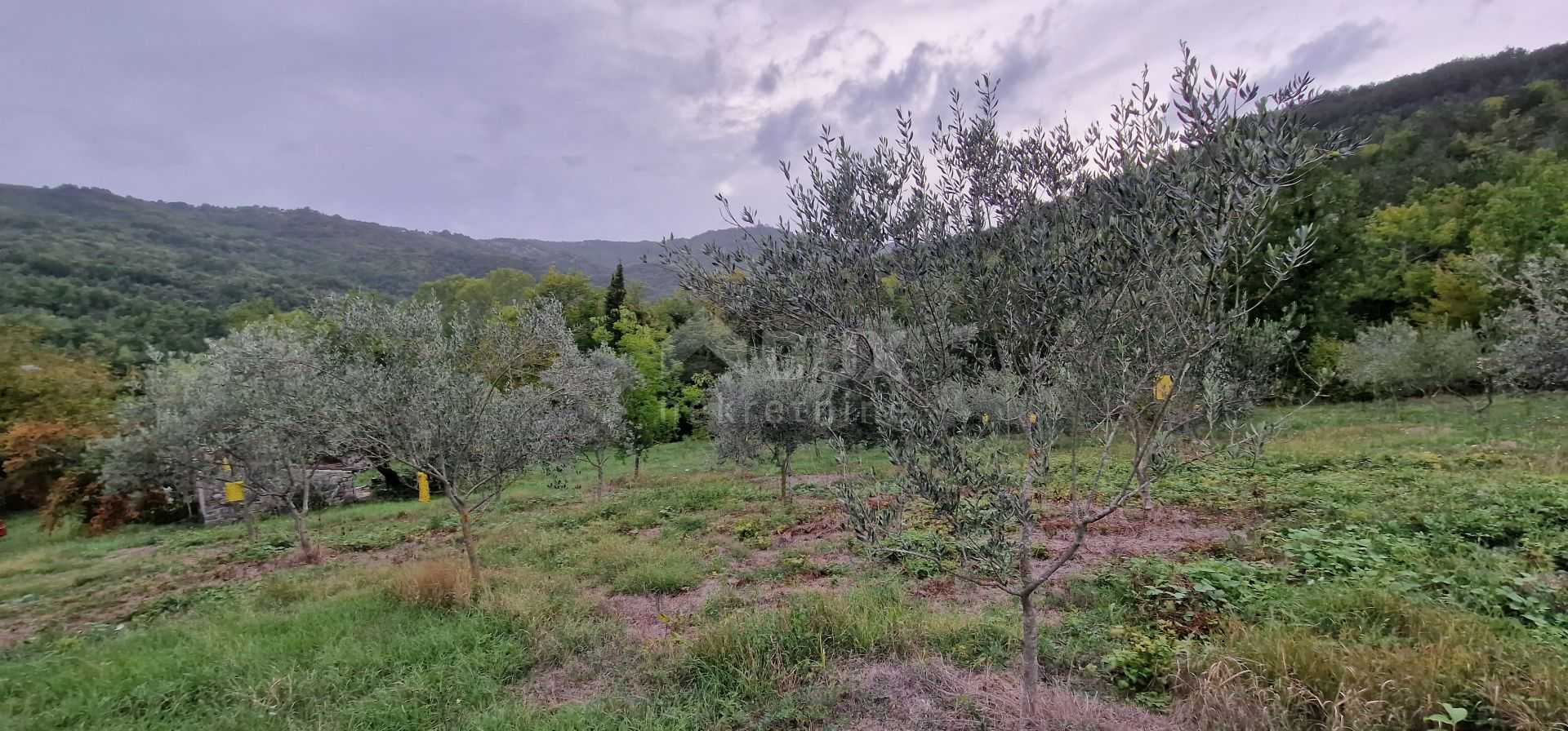 Γη σε Gračišće, Istria County 10954921