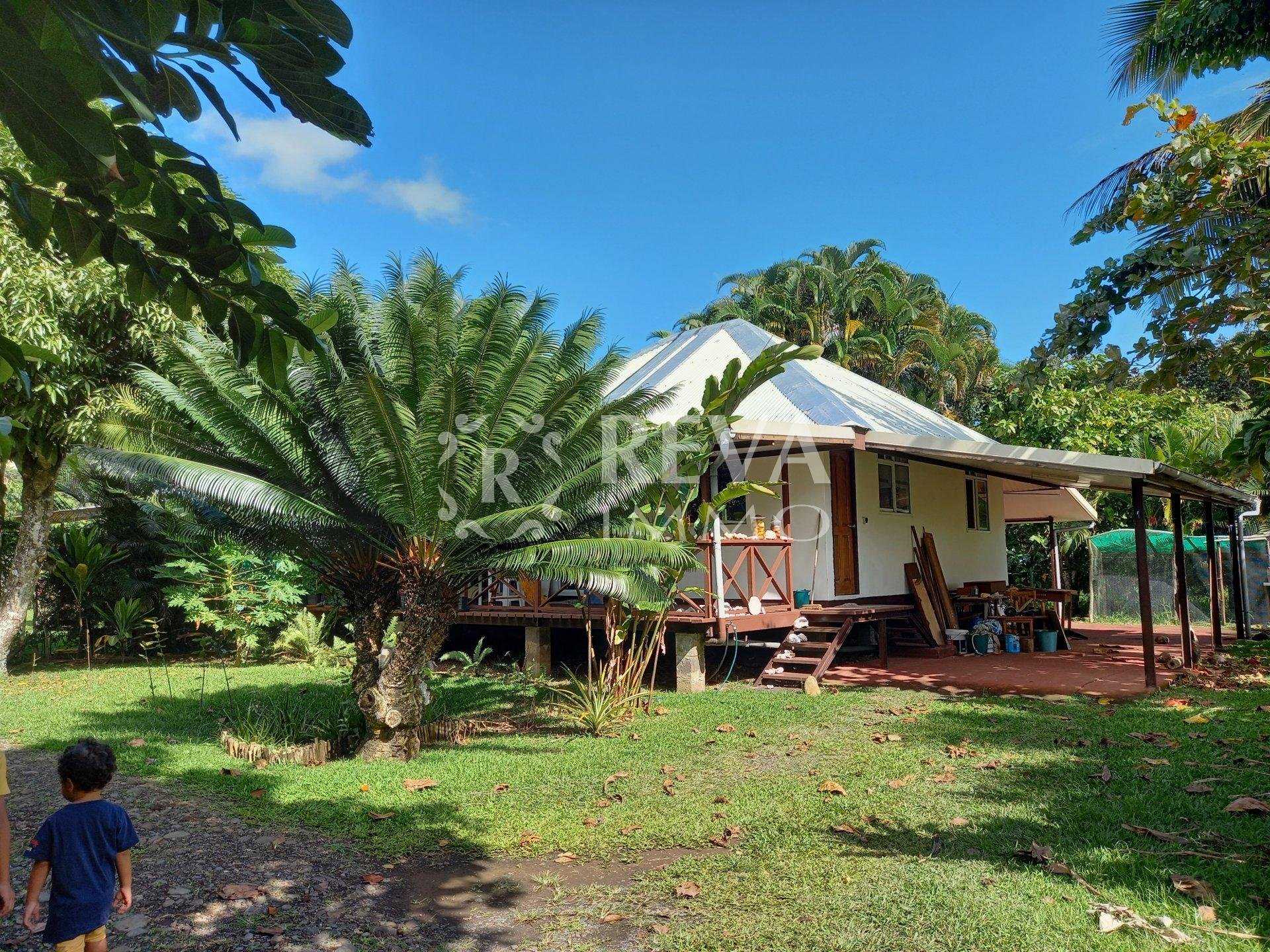Hus i Arahuta, Îles du Vent 10956117
