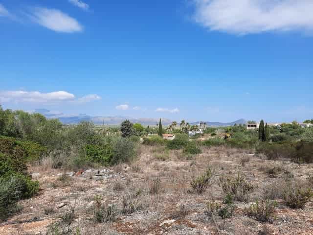Tanah dalam La Puebla, Kepulauan Balearic 10962559