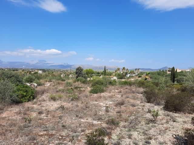 Land in La Puebla, Balearic Islands 10962559