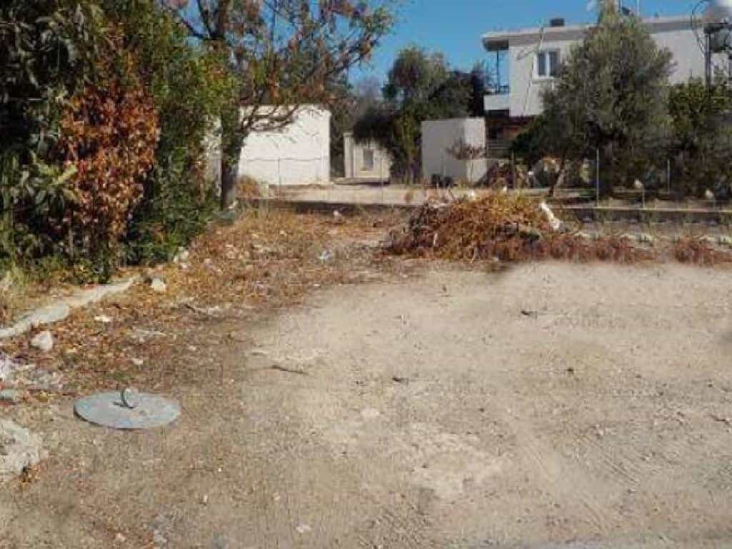 Tanah dalam Paphos, Paphos 10967426