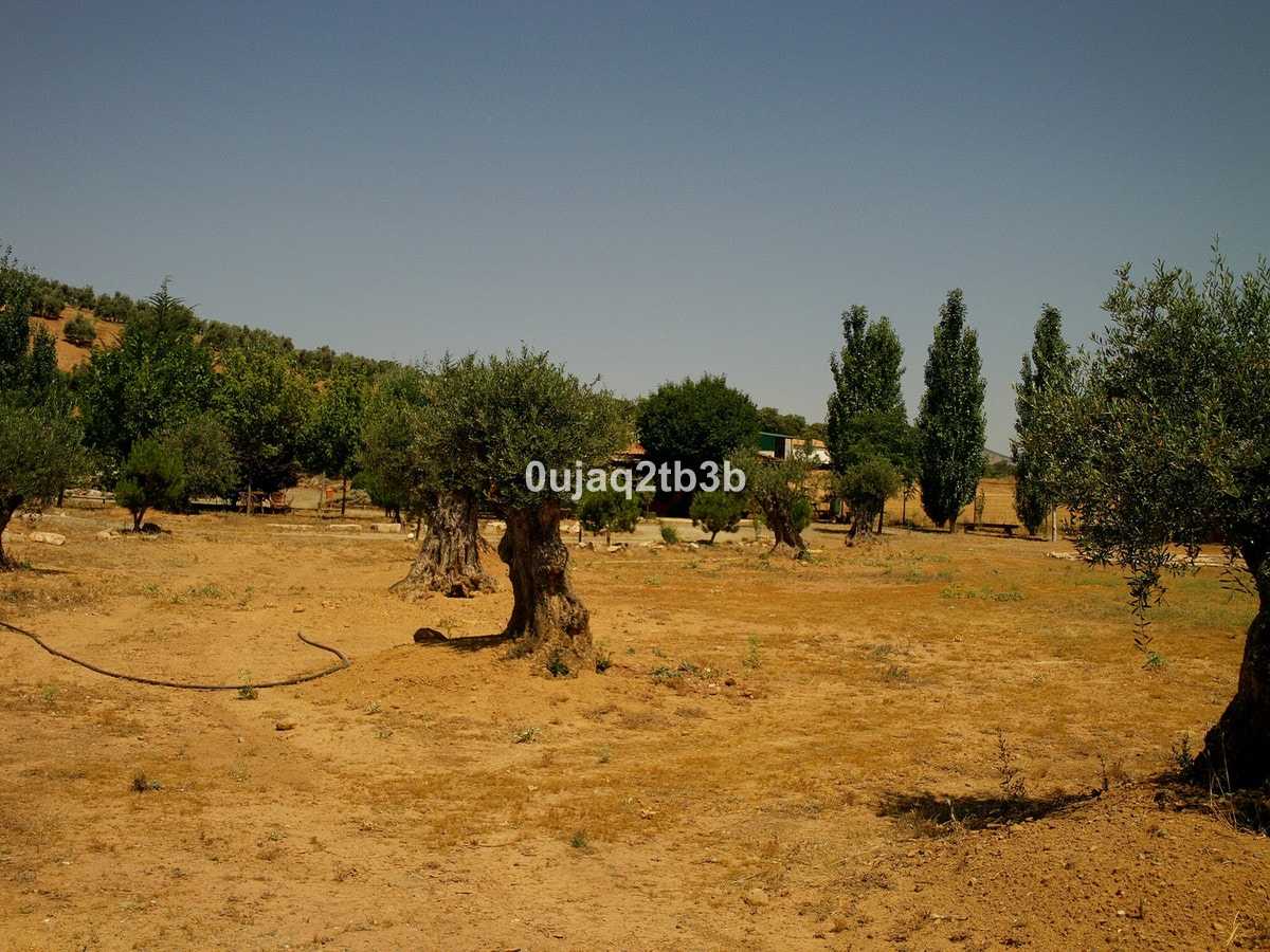 Tanah dalam Archidona, Andalusia 10971406