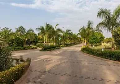 Land in Bengaluru, Bellary Road 10979125
