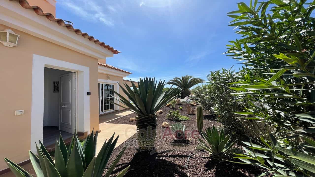 casa no Antigua, Canarias 10991741