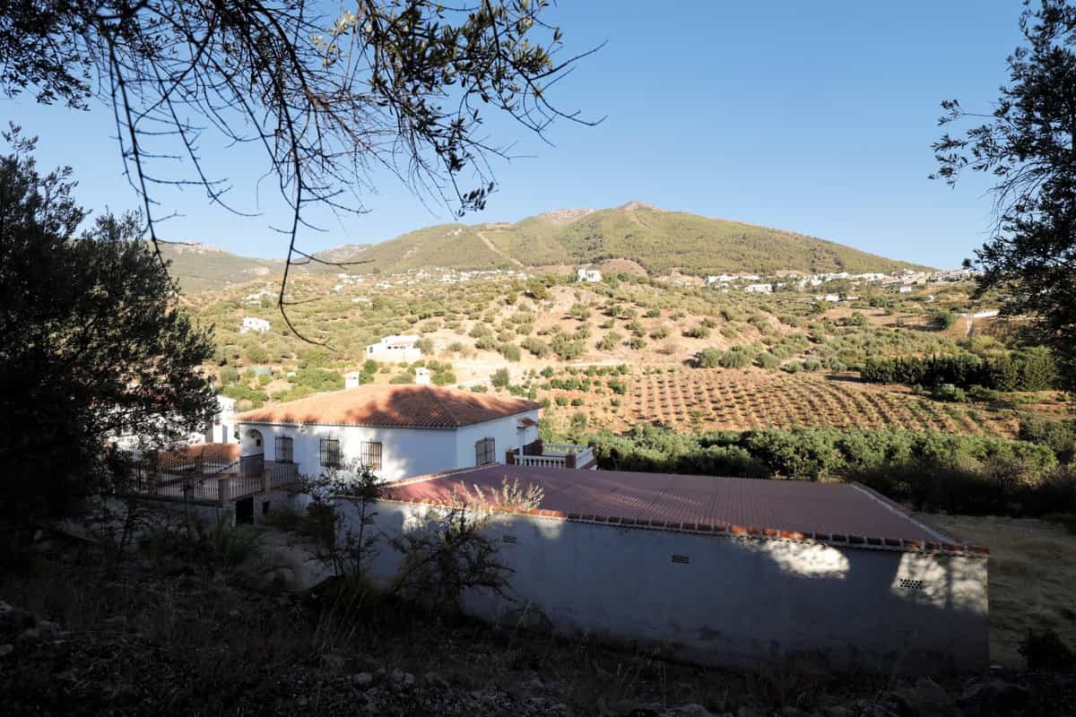 House in Alcaucín, Andalusia 10995063