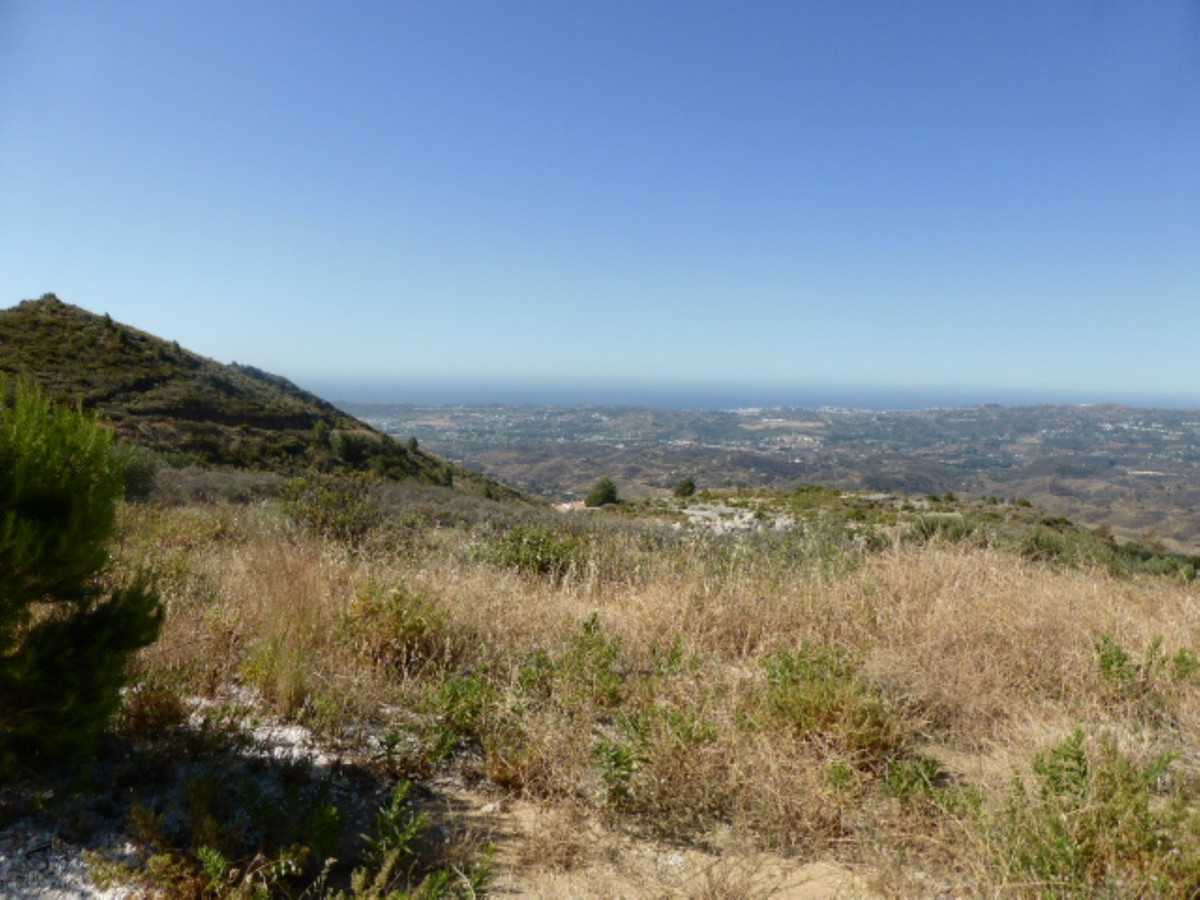 Land in Alhaurin el Grande, Andalusia 10996916