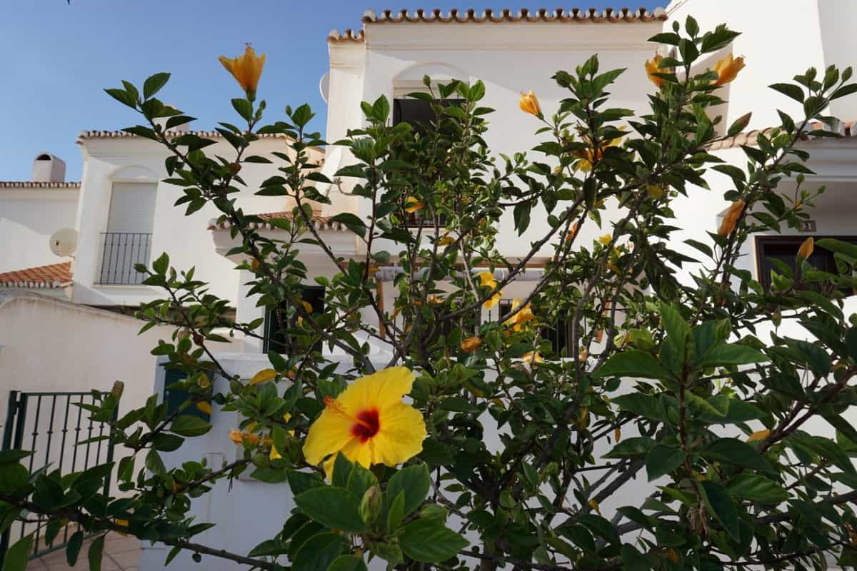 Huis in La Caleta, Andalusië 10997255