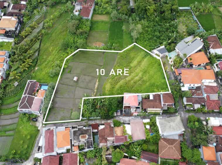 Terre dans Péliatan, Bali 10997929