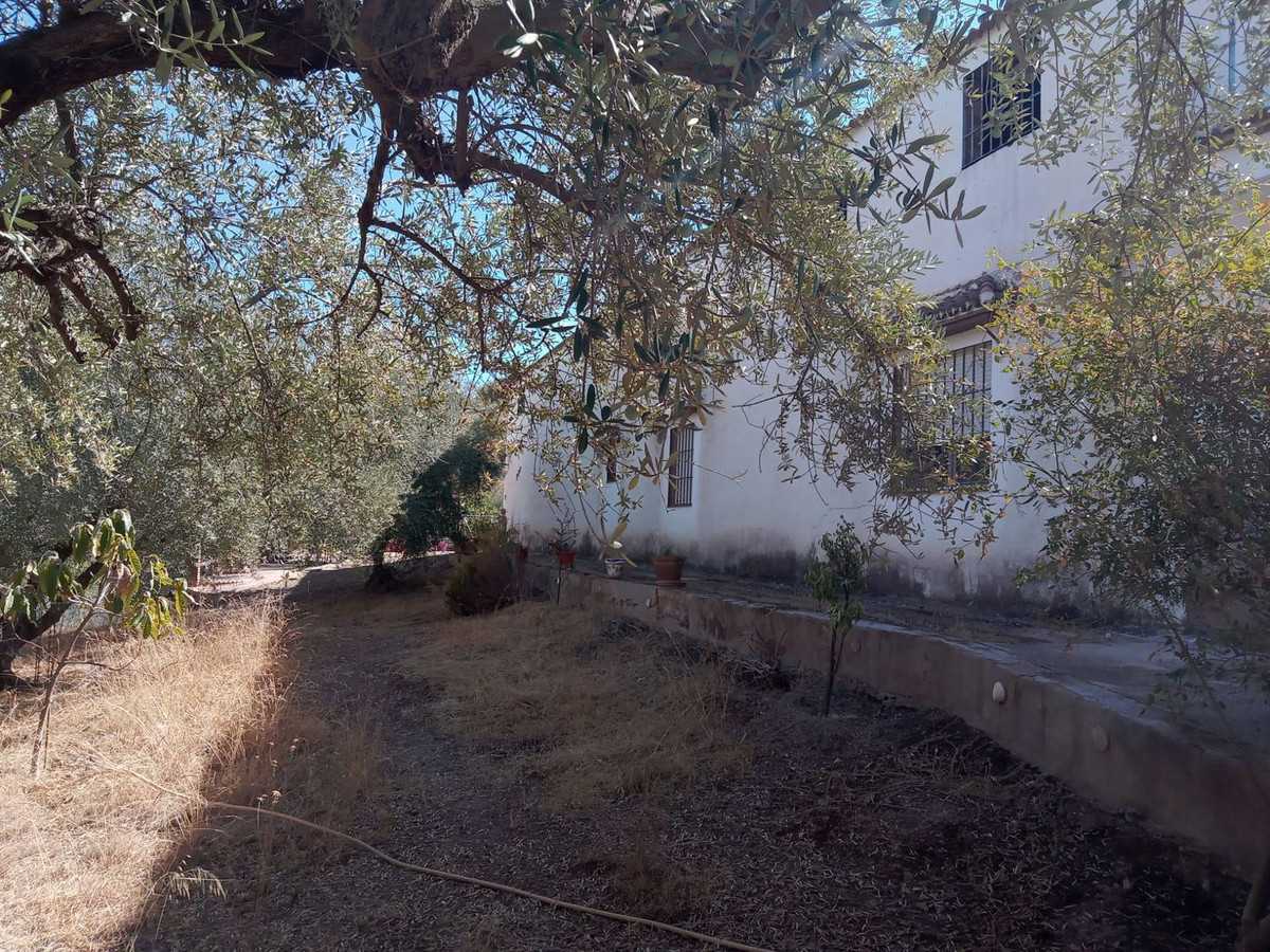 Dom w Riogordo, Andalusia 11000784