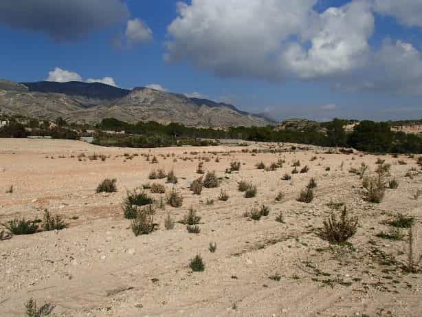 Tanah dalam Crevillente, Valencia 11001952