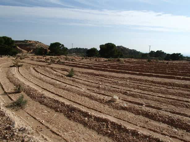 Tanah dalam Crevillent, Valencian Community 11001952