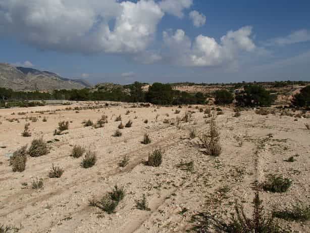 Tanah dalam Crevillente, Valencia 11001952