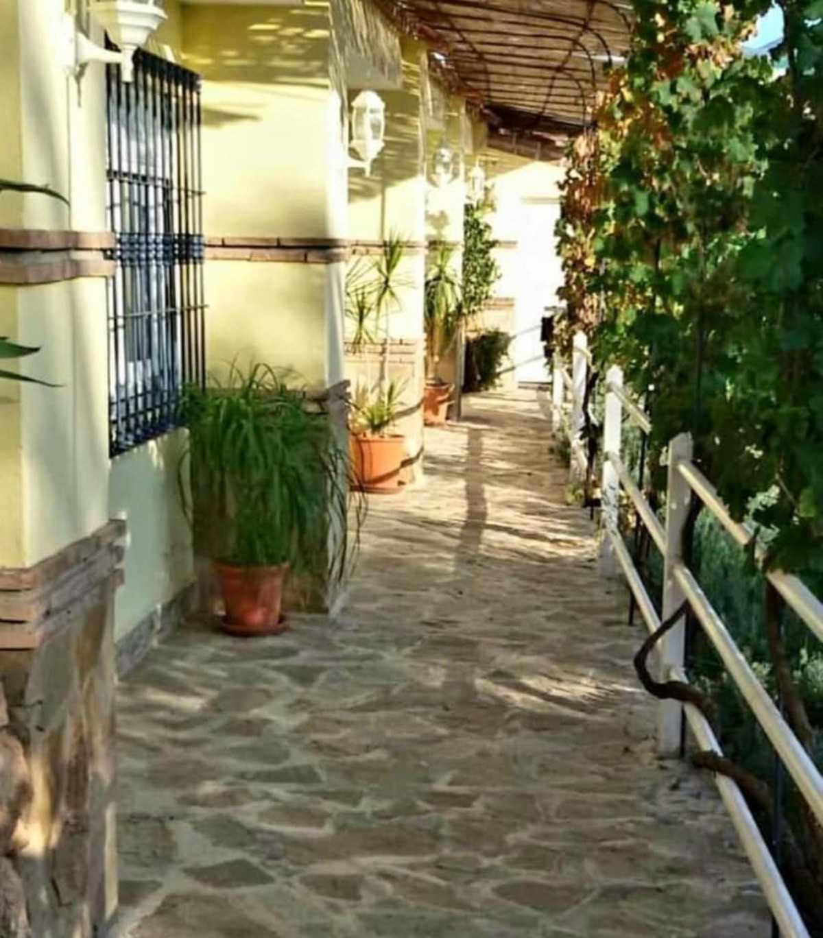 Будинок в , Andalucía 11003402