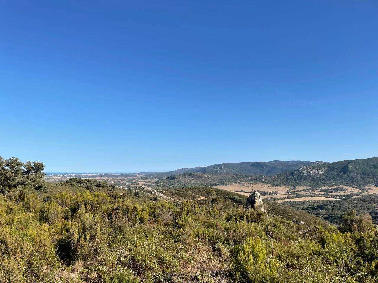 Tanah dalam Los Barrios, Andalusia 11003827