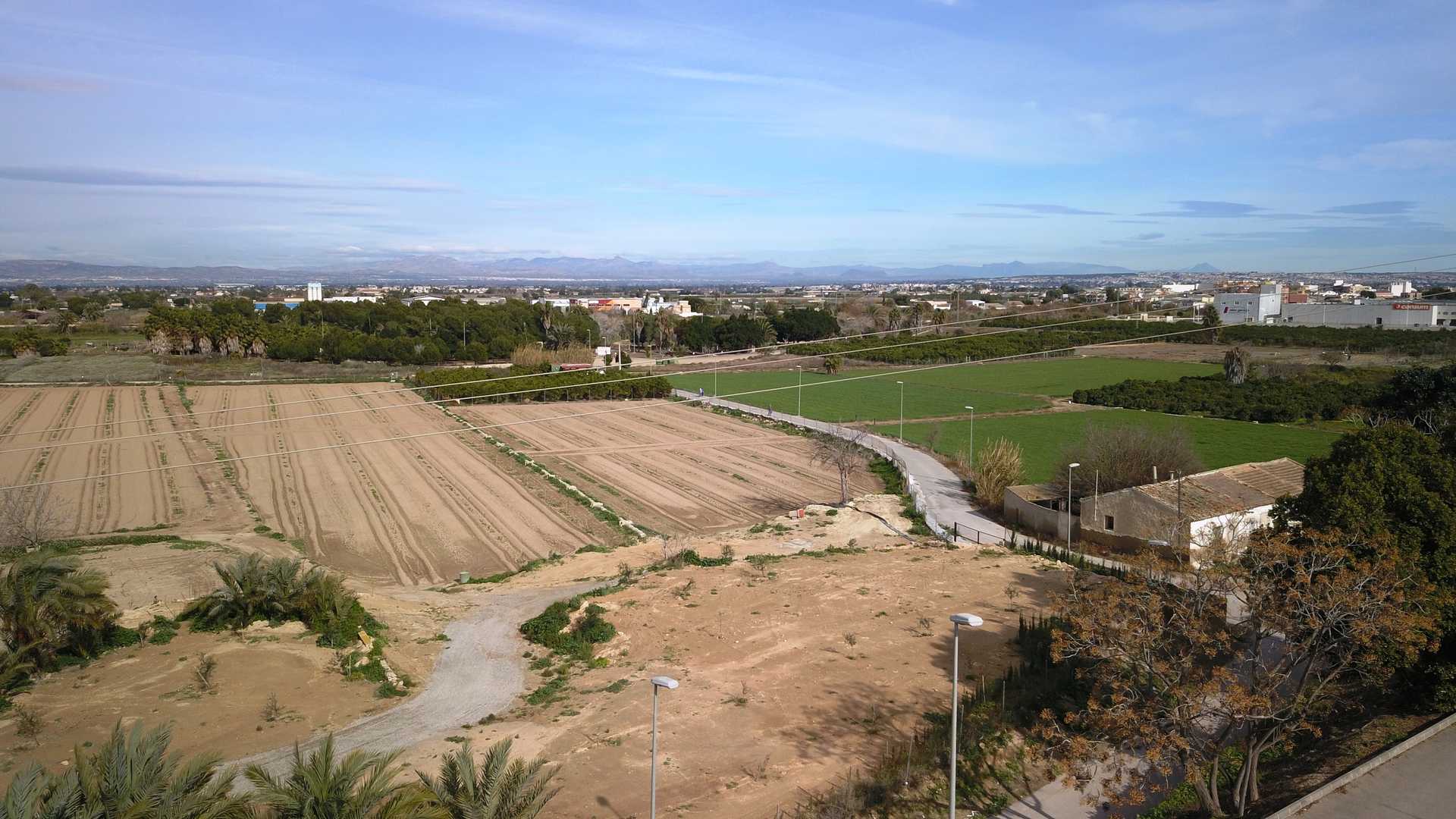 الأرض في Benijofar, Valencia 11003910