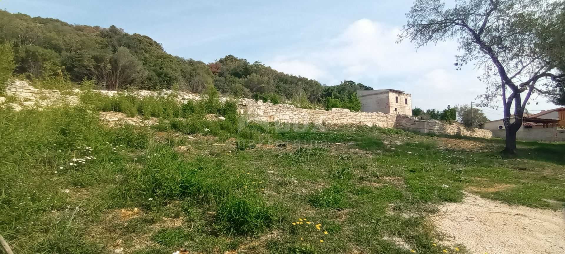 Land in Vrsar, Istria County 11016254