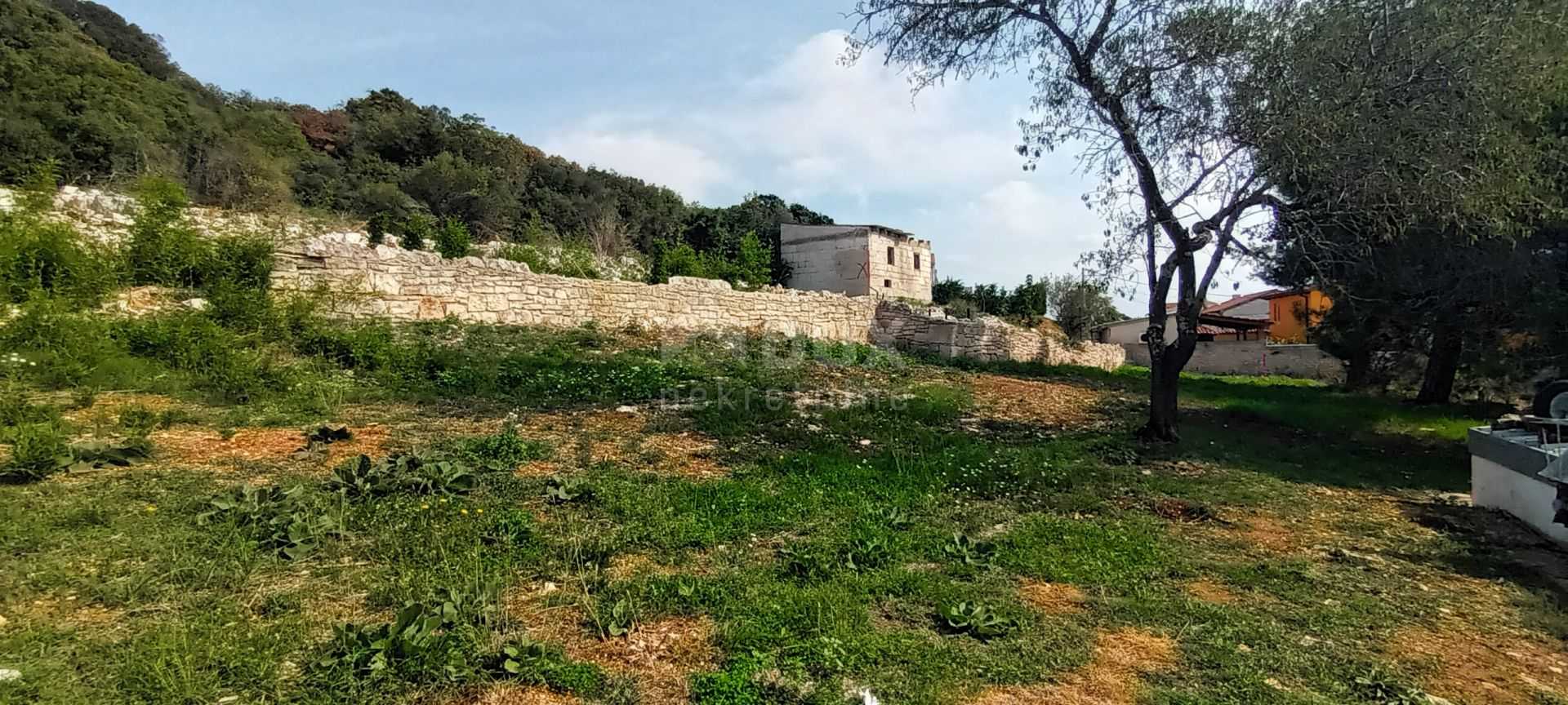 Land in Vrsar, Istria County 11016254