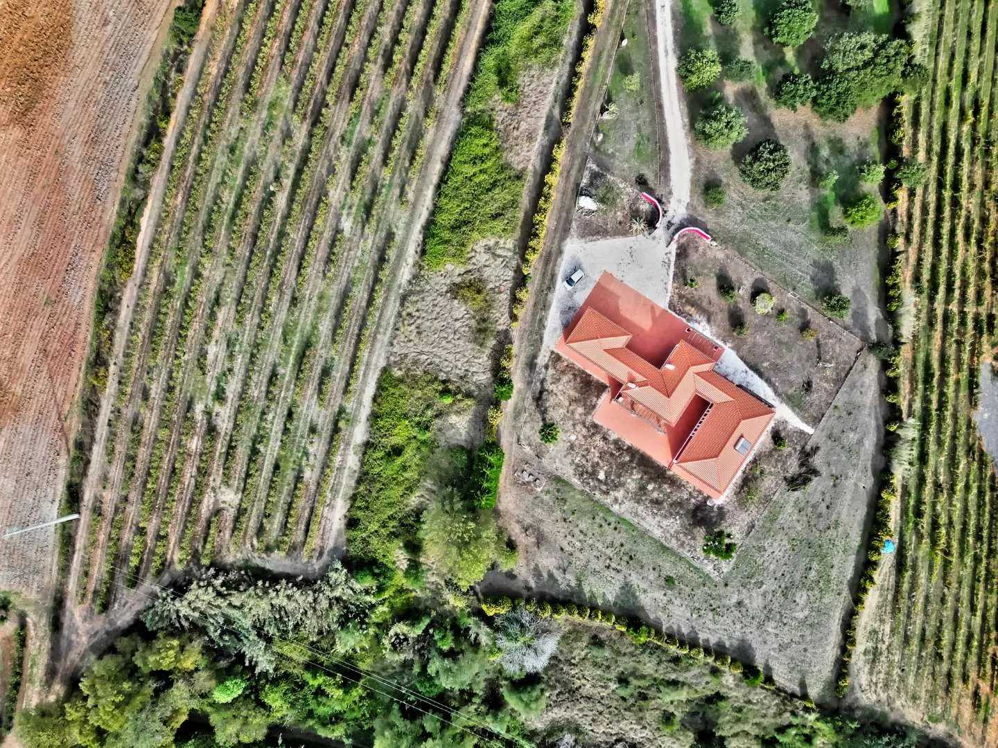 House in Bombarral, Leiria District 11030354