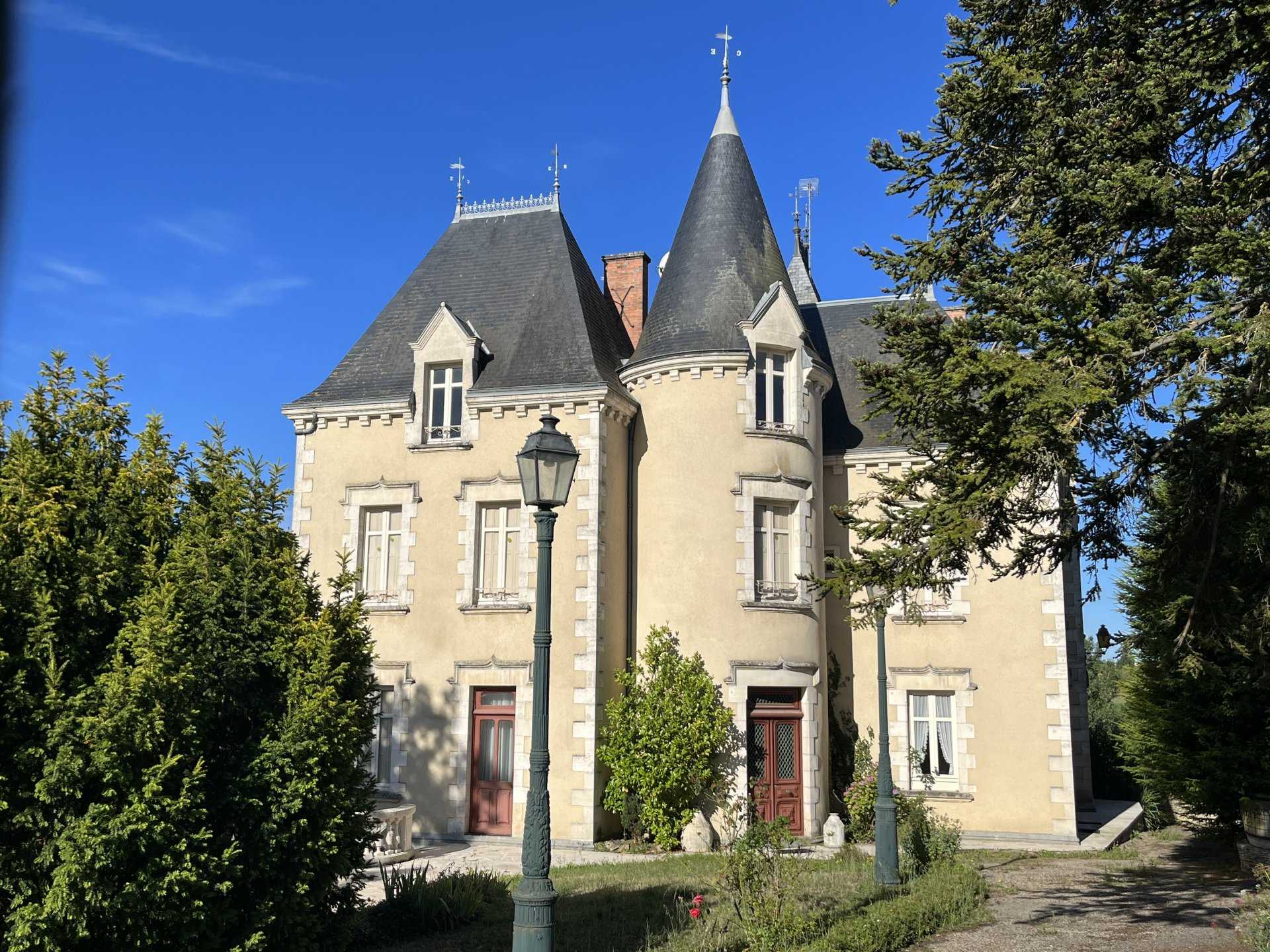 Andet i Pressigny, Nouvelle-Aquitaine 11043660
