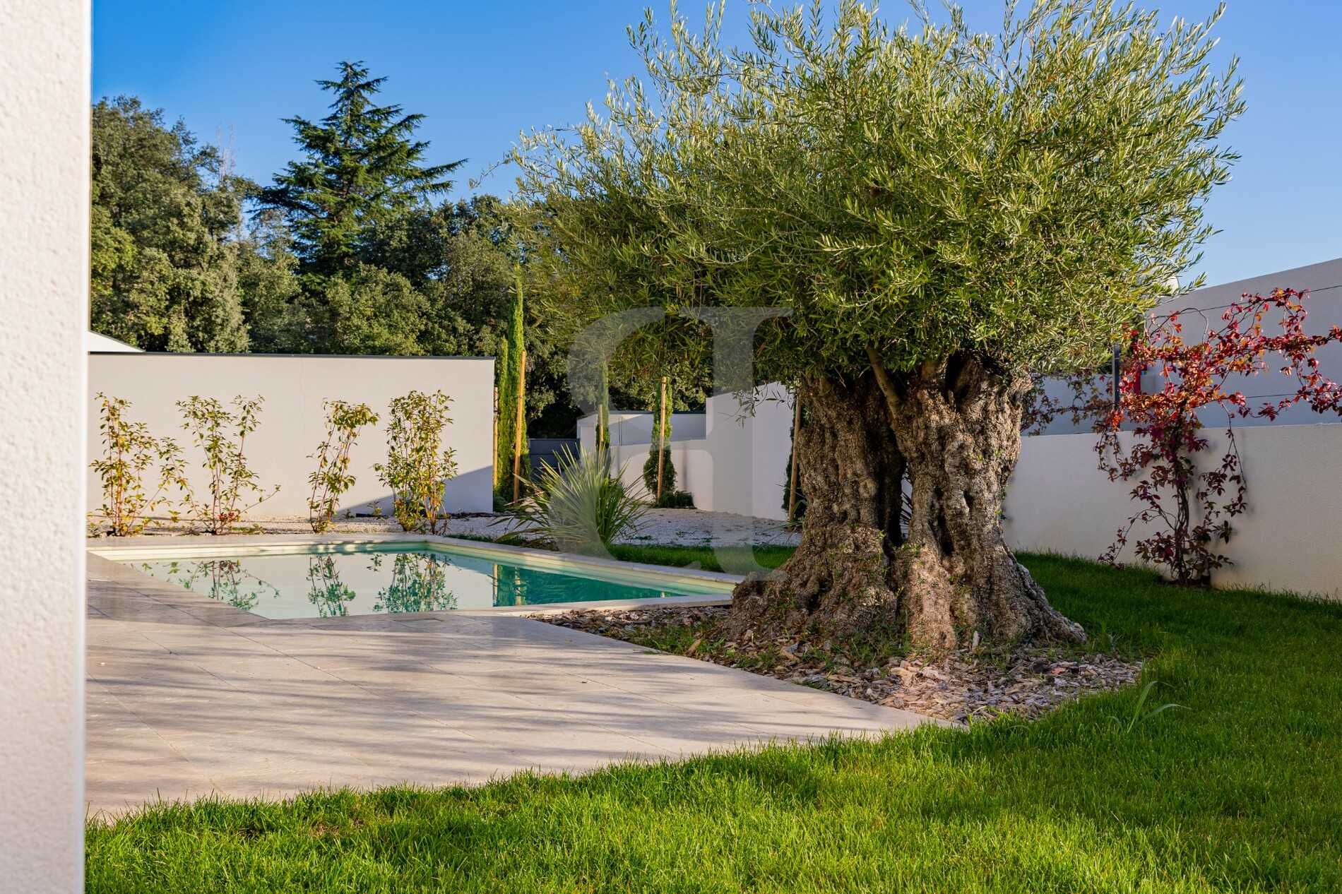 House in Bollene, Provence-Alpes-Cote d'Azur 11044370