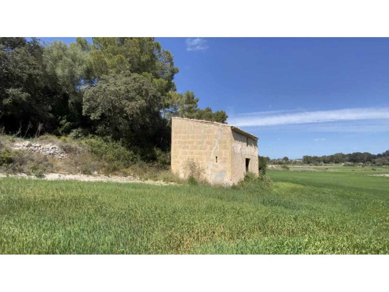 House in El Arenal, Balearic Islands 11052747