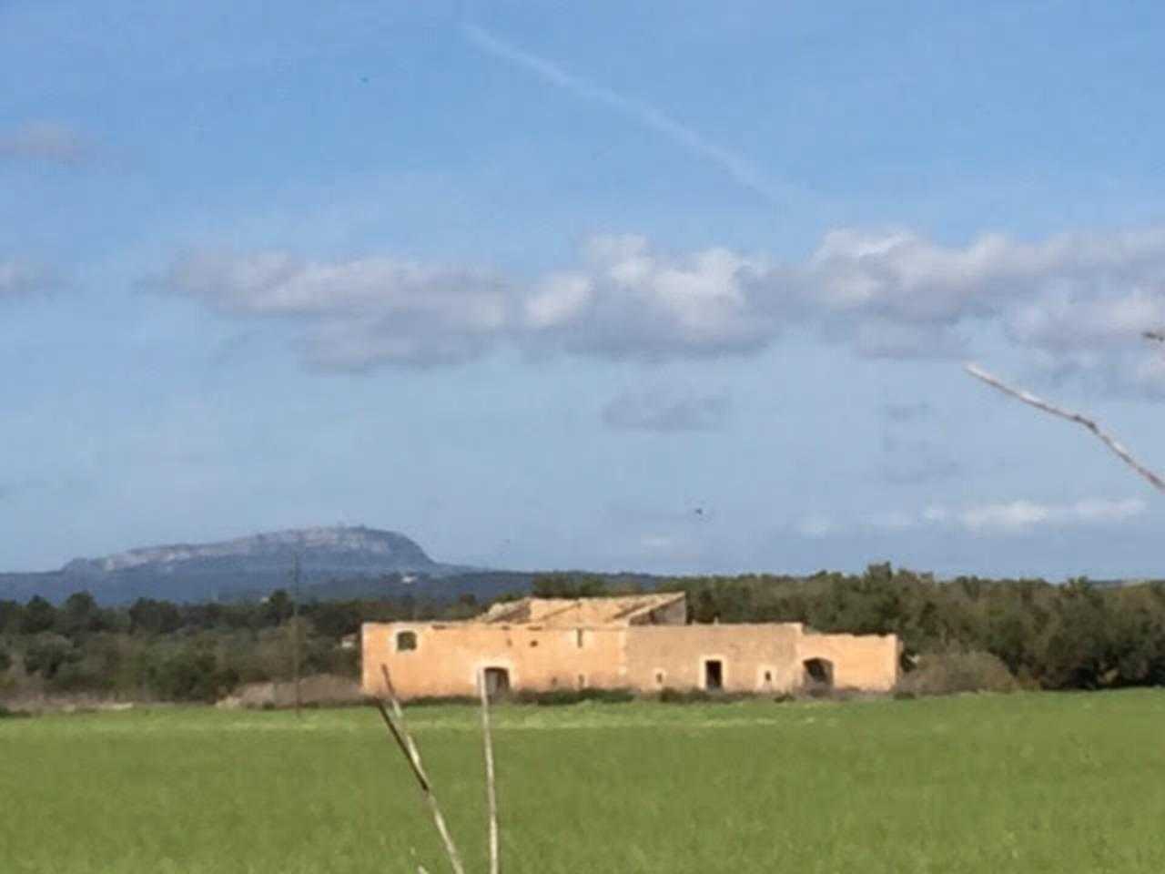 بيت في Manacor, Balearic Islands 11052796