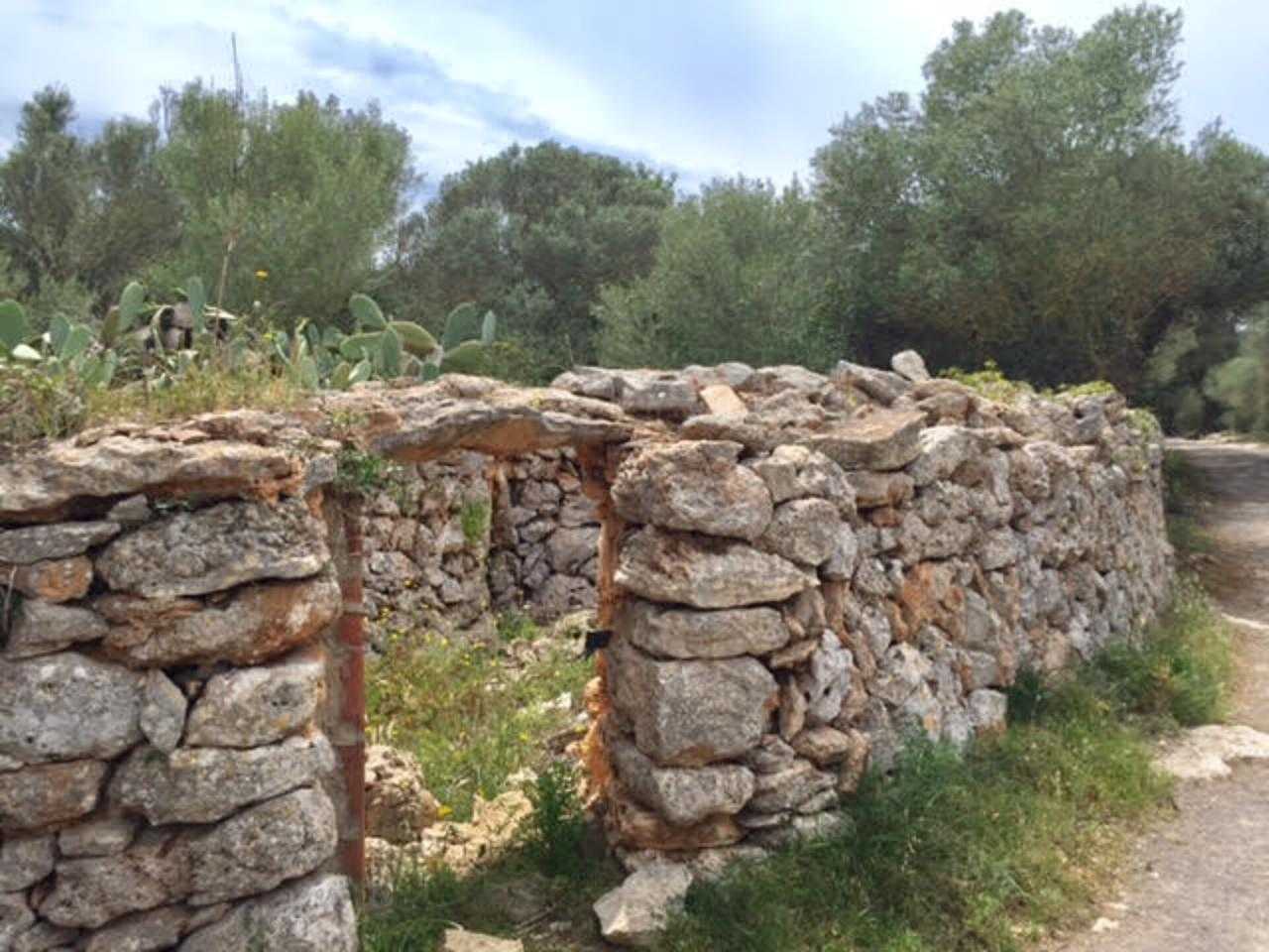 Haus im Cala Marçal, Illes Balears 11052804