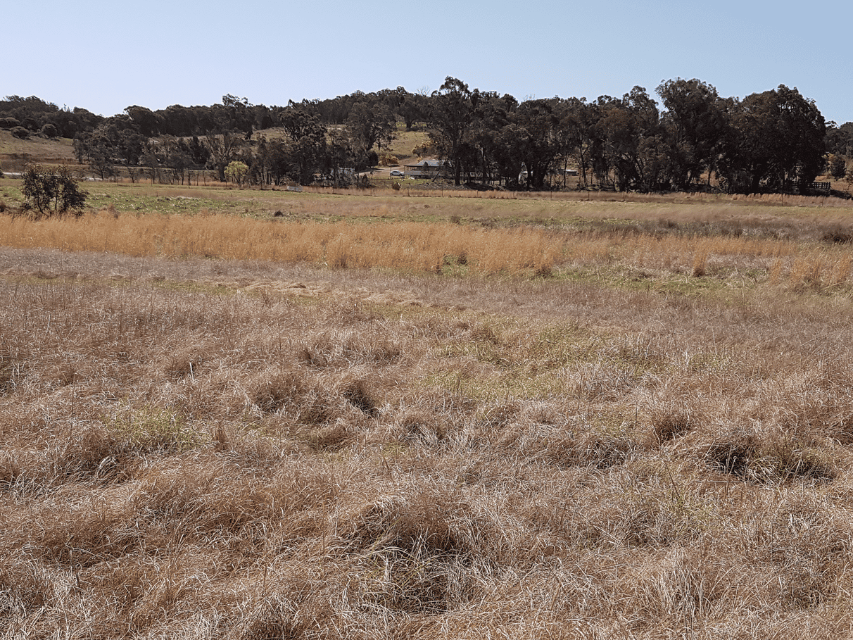 Land in Emmaville, New South Wales 11053301