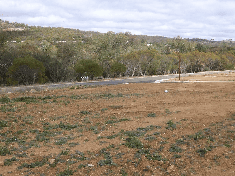 Land in Toodyay, Western Australia 11053367