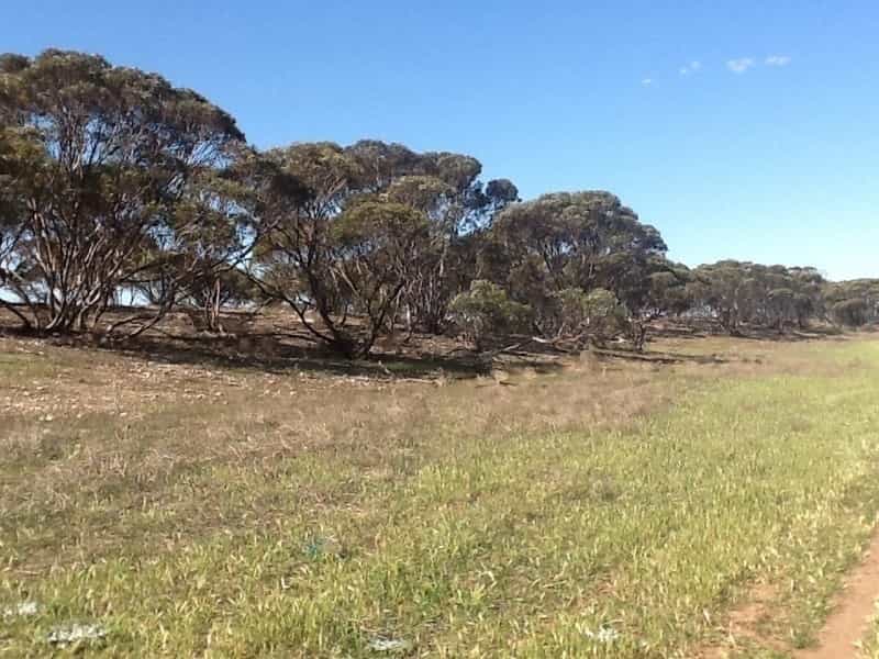 Tanah dalam Claypans, Australia Selatan 11053462