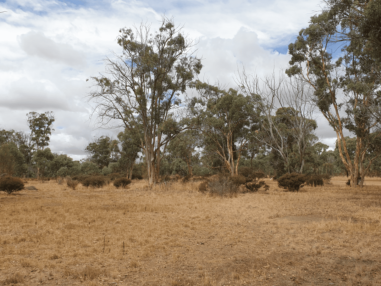 Tanah dalam Broomehill, Australia Barat 11053500