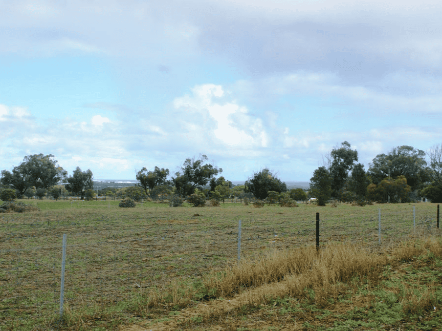 Tanah dalam Waggrakine, Australia Barat 11053671