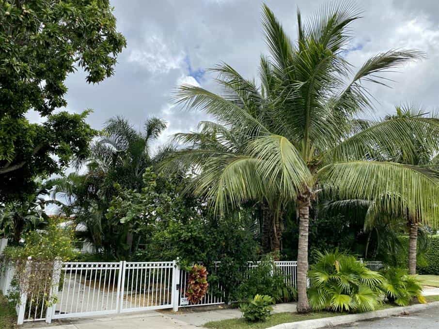 Dom w Plaża z palmami, Floryda 11055236